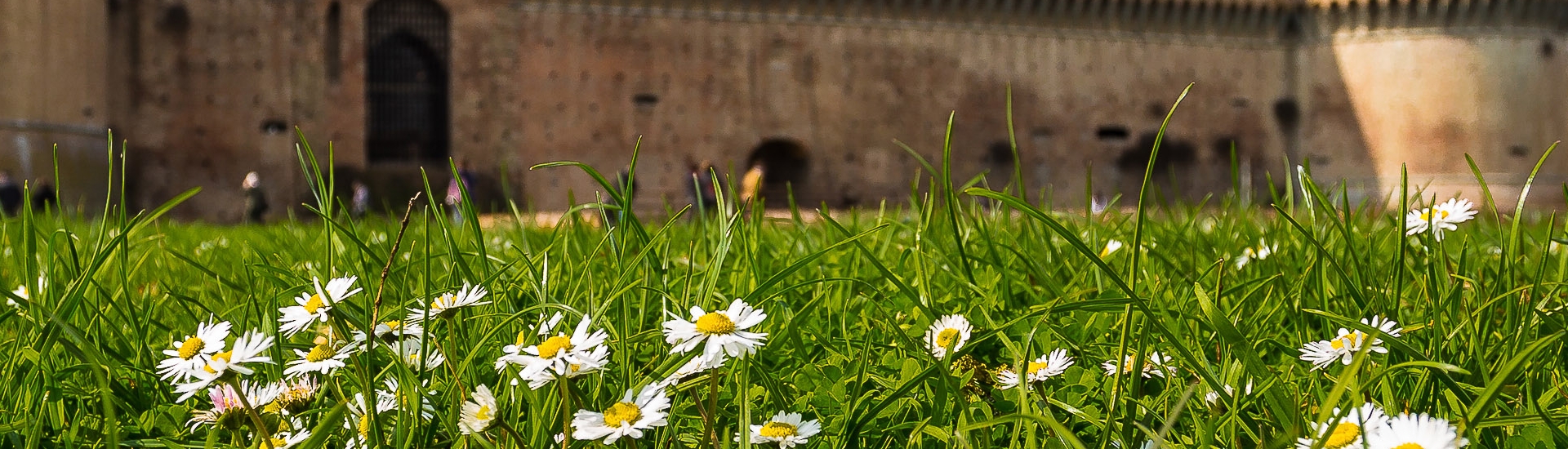Rocca Sforzesca - Veduta frontale Rocca Sforzesca di Imola photo credits: |Cristina Ferri| - Associazione Tempo e Diaframma